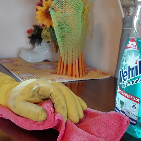 罗莎卡米拉住宿加早餐旅馆 4* Carpeneto